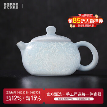 景德镇茶壶- 京东