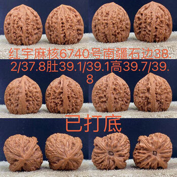 東京文玩育成】文玩核桃 山地老樹 白獅子 皮質良い 育成3年目 文玩核桃