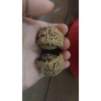 文玩核桃鹰嘴品牌及商品- 京东