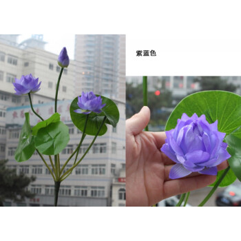 花明柳媚真荷花莲花供佛 装饰荷花水中仙子 假花绢花塑料花 蓝色