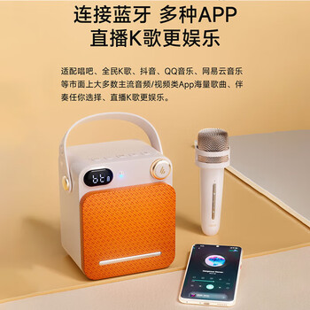 漫步者（EDIFIER）PP203迷你K歌音箱 手提便携式蓝牙音箱 户外音响 商超导购 云岩白