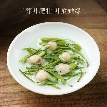 七春茉莉花茶飘雪茶叶礼盒自己喝茉莉绿茶父亲节送长辈节日礼品250g