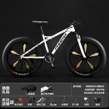 凤凰(phoenix)山地自行车雪地车沙滩车4.