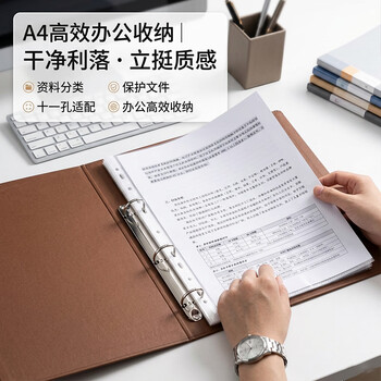 天章 （TANGO）11孔资料册文件袋A4替芯袋 100只 快递袋票据档案收纳活页孔夹快劳夹透明办公用品 5c加厚款