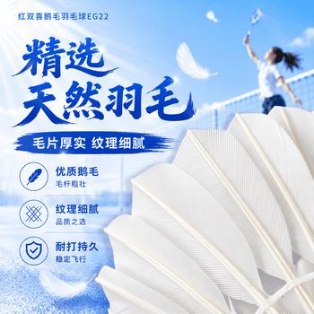 红双喜DHS鹅毛耐打羽毛球训练级EG22(12只装)