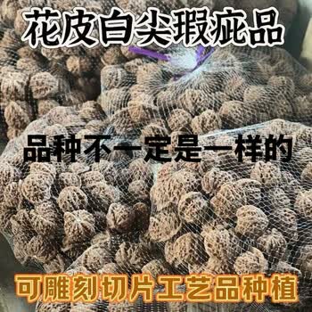 大个文玩核桃新款- 大个文玩核桃2021年新款- 京东