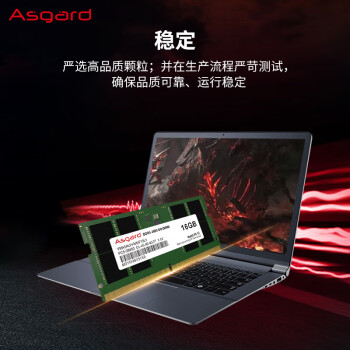 阿斯加特（Asgard）16GB DDR5 4800 笔记本内存条