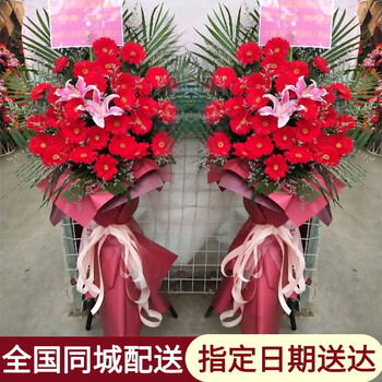 热带之鲜花开业花篮一对或一个全国同城配送上门速递乔迁送花同事朋友预订北京上海深圳重庆成都西安花店配送吉祥开业西式花篮单个价格 图片价格品牌报价 京东