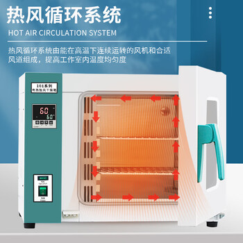 恩谊 电热恒温鼓风干燥箱实验室药材烘干老化试验工业烤箱 不锈钢内胆 101-0内部35*35*35cm-42升