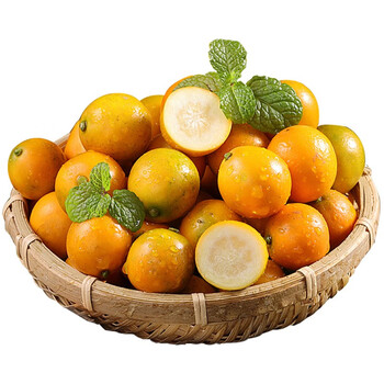 采鲜惠 广西脆皮金桔 滑皮小金橘 黄青皮甜金橘新鲜水果 9斤 大果