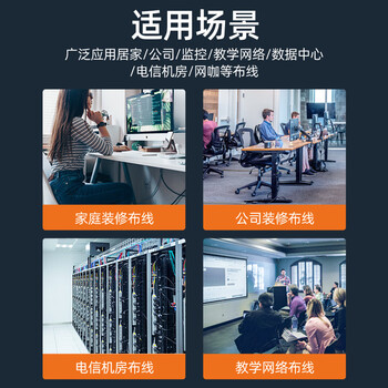 山泽六类网络模块 CAT6千兆网线面板非屏蔽免打模块 RJ45水晶头母座电脑网线镀金连接头直通头 WMD-006