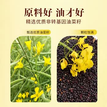 奥妙（OMO）洗洁精茶树除菌1.39kg+厨中香特香菜籽油5L【礼品优选】