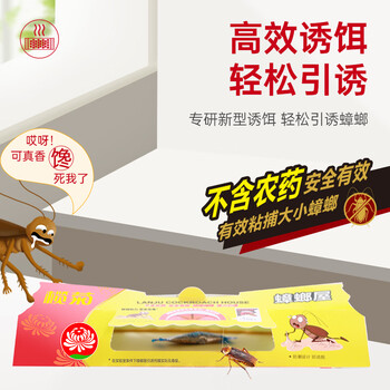 榄菊蟑螂屋12片/盒蟑螂贴家用杀蟑除蟑螂药灭蟑螂器全窝端