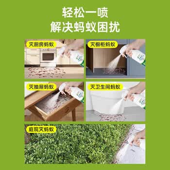 皎洁蚂蚁药一窝全窝非特效端杀虫剂喷雾家用驱除灭杀黑红小蚂蚁500ml
