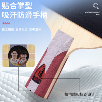 红双喜（DHS）乒乓球拍5星直拍单拍狂飙3胶皮双面反胶H5006含乓球
