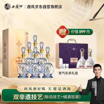 西风酒20年价格报价行情- 京东