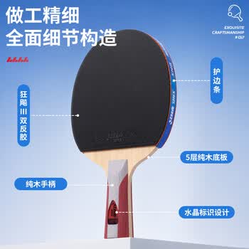 红双喜（DHS）乒乓球拍5星直拍单拍狂飙3胶皮双面反胶H5006含乓球