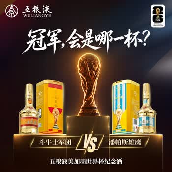 52五粮液价格价格及图片表- 京东