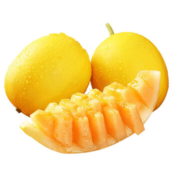 黄河蜜瓜 新鲜甜瓜蜜瓜香瓜 当季现摘时令水果 黄河蜜2.5-3斤