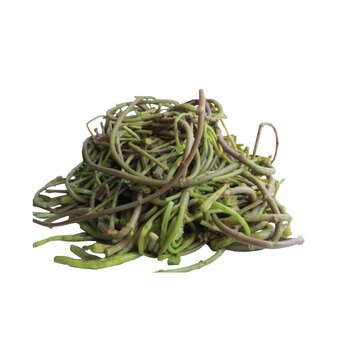 蔬菜 根茎类 鲜蔓 新鲜菱角秧 1kg