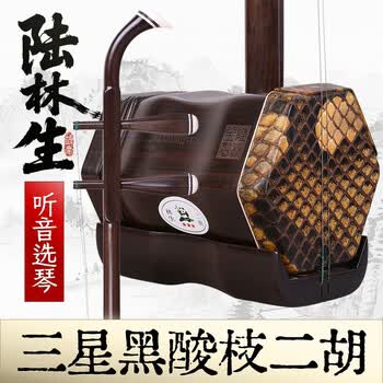 中国二胡（林生） 陆林生二胡价格价格报价行情- 京东