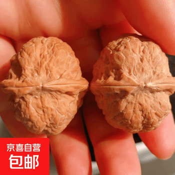 铁核桃蛤蟆头价格报价行情- 京东