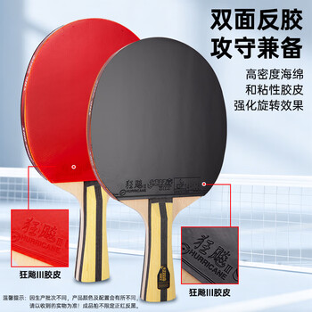 红双喜DHS狂飚四星级乒乓球拍升级版横拍F4002双面反胶附乒乓球