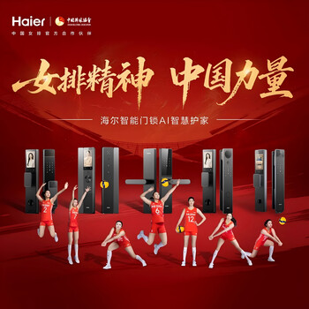 海尔（Haier）智能门锁T15执手锁C级锁芯密码锁入户门指纹锁防盗门锁电子锁