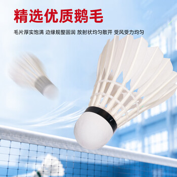 启傲(QIAO)鹅毛羽毛球训练级耐打鹅毛羽球AS03max 12只装/筒
