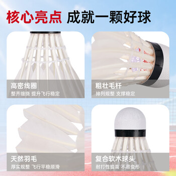 启傲(QIAO)鹅毛羽毛球训练级耐打鹅毛羽球AS03max 12只装/筒