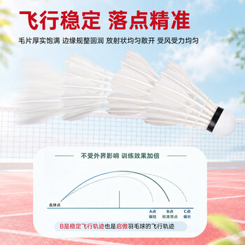 启傲(QIAO)鹅毛羽毛球训练级耐打鹅毛羽球AS03max 12只装/筒