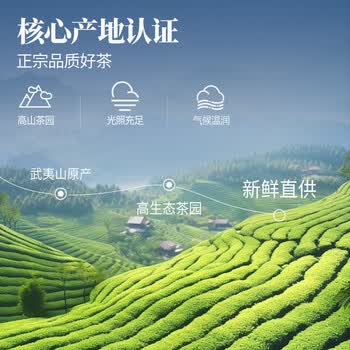 忆江南金骏眉茶叶礼盒送人210g端午节父亲节送礼送父母长辈礼物红茶荷韵