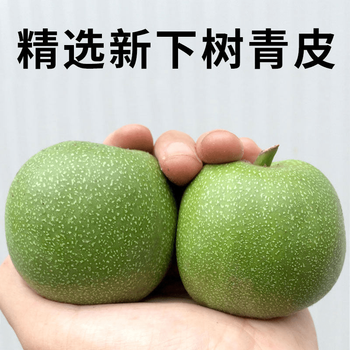 ❤️新入荷❤️No.701❤️文玩くるみ（文玩核桃） 原装球形精配磨盘 核桃文玩磨盘新款- 核桃文玩磨盘2021年新款- 京东
