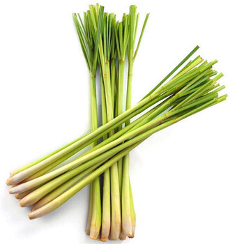轻恋香茅 新鲜香茅草 柠檬草 泰国品种香茅草 新鲜蔬菜 500g【图片 价