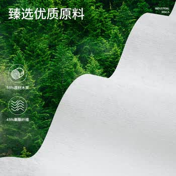 WK工业擦拭纸无尘纸无纺布吸油吸水卷纸汽修机械维修工厂实验室擦油纸除尘纸 白色 25*30cm