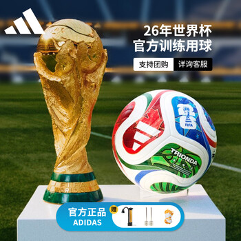 世界杯5号足球价格报价行情- 京东
