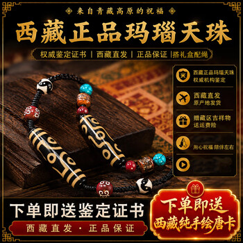 藏天珠书价格报价行情- 京东