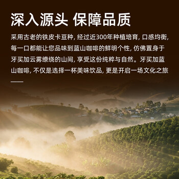 JBeM牙买加蓝山咖啡豆进口蓝山一号豆中深度新鲜烘焙精品礼盒装200g