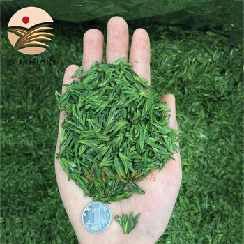 宁都馆江西特产小布岩茶新茶叶一级绿茶春茶赣州茗茶特贡级毛尖50g