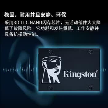 金士顿（Kingston）256GB SATA3 SSD固态硬盘 KC600系列 读速高达550MB/s AI电脑配件