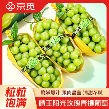 晴王　1K 2房➕粒 晴王葡萄价格报价行情- 京东
