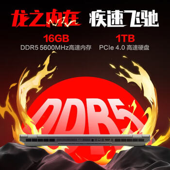 机械革命 蛟龙16Pro 16英寸商务办公笔记本电脑 定制(R9-9955HX 64G 2T RTX5060 300Hz)灰