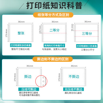天章 （TANGO）新绿天章打印纸 四联整张针式打印纸 撕边电脑打印纸 出入库送货清单1000页 381-4S(全白)