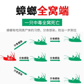 郁康杀蟑饵剂蟑螂药粉10包*3盒全窝室内端杀蟑灭蟑饵剂连环诱杀家用