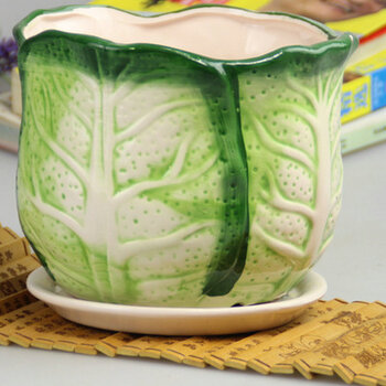 一名花匠花盆大号陶瓷花盆白瓷漂亮花盆花瓶花盘带托盘盆栽花器创意古典中国风花盆青白菜中 图片价格品牌报价 京东