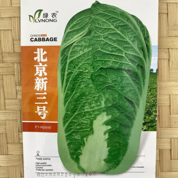 北京新三號大白菜種子高產特大秋季冬季四季白菜籽超大蔬菜種孑 北京