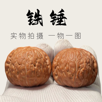 文玩核桃树- 京东