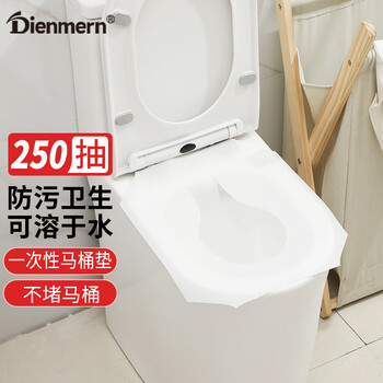 Dienmern一次性马桶垫250个装 马桶坐便套马桶纸垫纸可溶坐厕纸纸产妇旅行