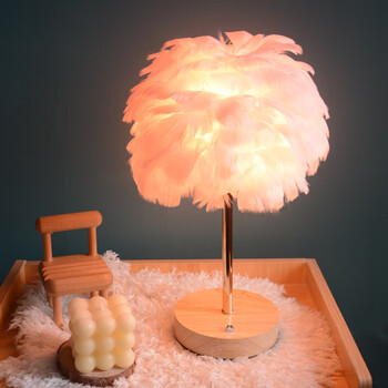 博雷奇合氏充电羽毛台灯梳妆北欧ins少女温馨浪漫网红轻奢民宿迷你屋