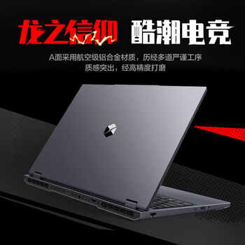 机械革命 蛟龙16Pro 16英寸商务办公笔记本电脑 定制(R9-9955HX 64G 2T RTX5060 300Hz)灰